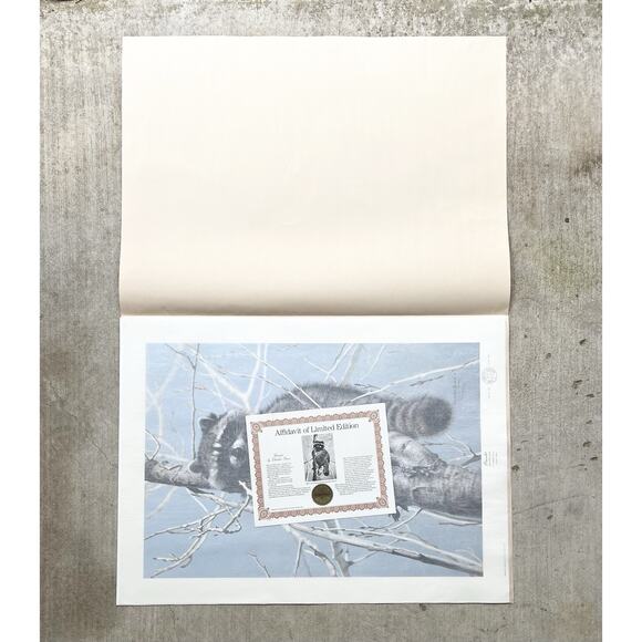 1984 Charles Fracé “Bandit, Raccoon” Large Signed Lithograph Print 30”X22” w/COA - Picture 5 of 11